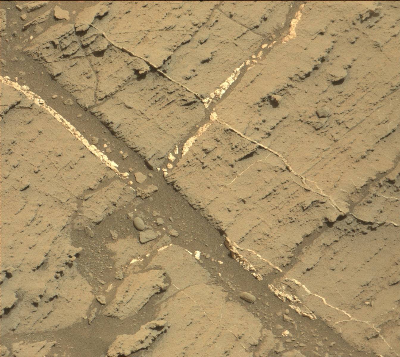 Nasa's Mars rover Curiosity acquired this image using its Mast Camera (Mastcam) on Sol 1105