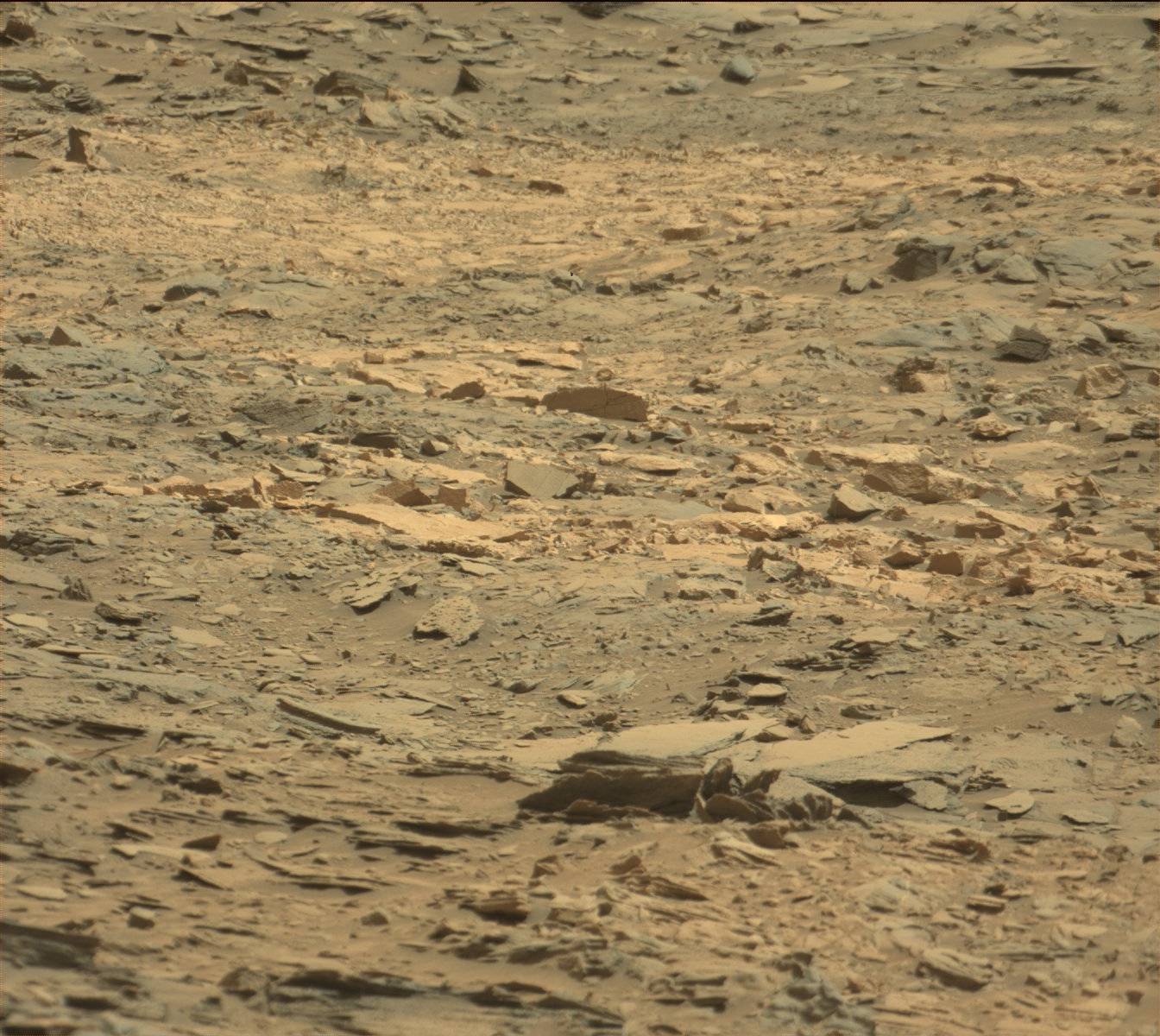 Nasa's Mars rover Curiosity acquired this image using its Mast Camera (Mastcam) on Sol 1106