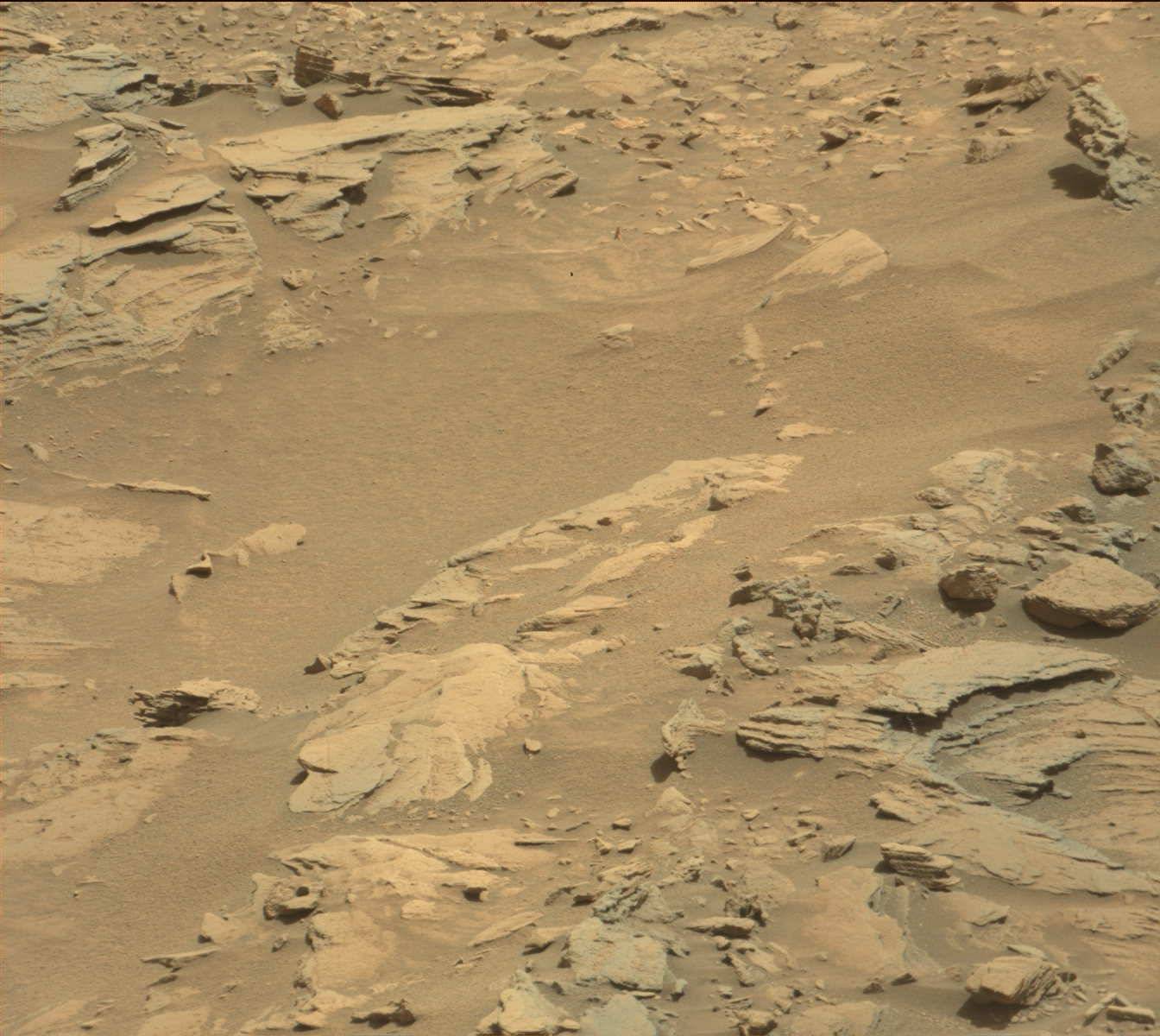 Nasa's Mars rover Curiosity acquired this image using its Mast Camera (Mastcam) on Sol 1107