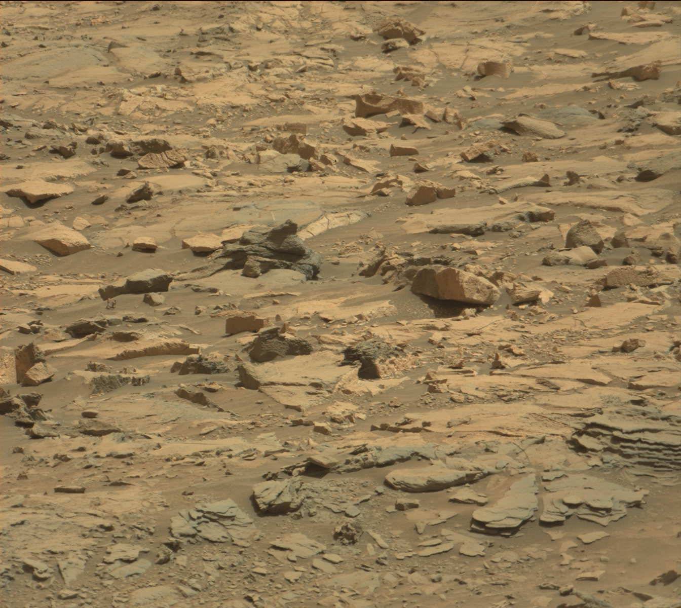Nasa's Mars rover Curiosity acquired this image using its Mast Camera (Mastcam) on Sol 1107
