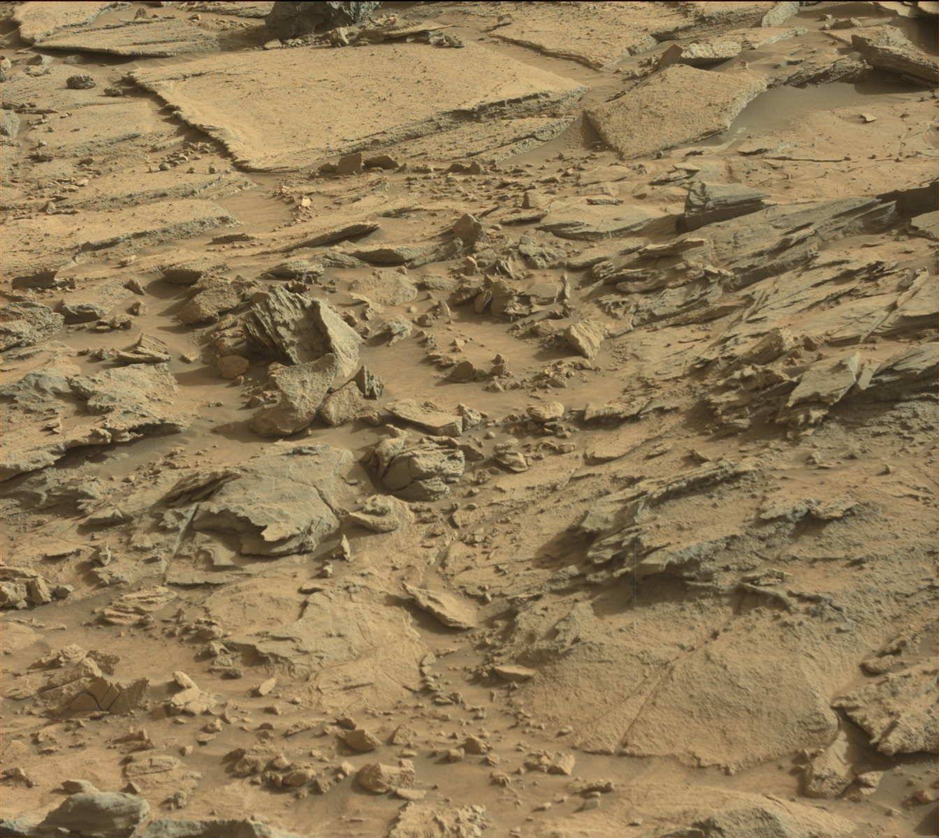 Nasa's Mars rover Curiosity acquired this image using its Mast Camera (Mastcam) on Sol 1112