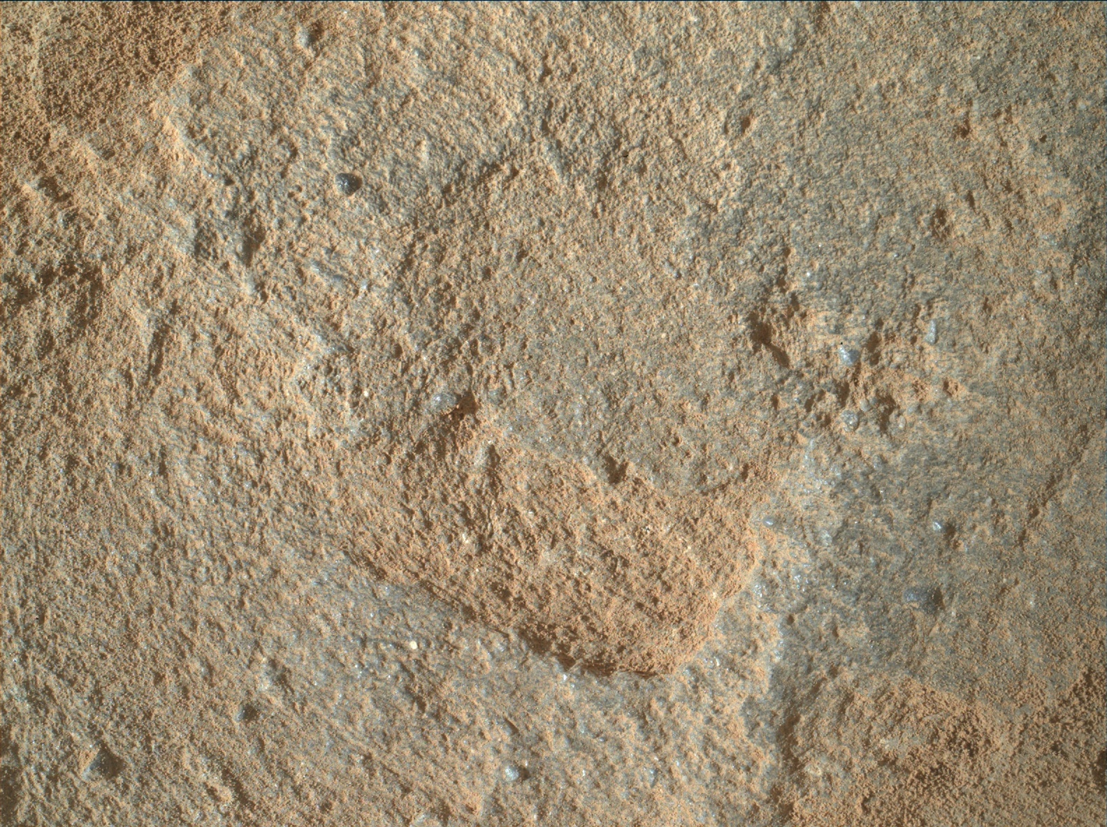 Nasa's Mars rover Curiosity acquired this image using its Mars Hand Lens Imager (MAHLI) on Sol 1114