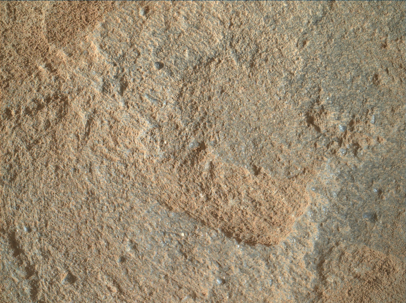 Nasa's Mars rover Curiosity acquired this image using its Mars Hand Lens Imager (MAHLI) on Sol 1114