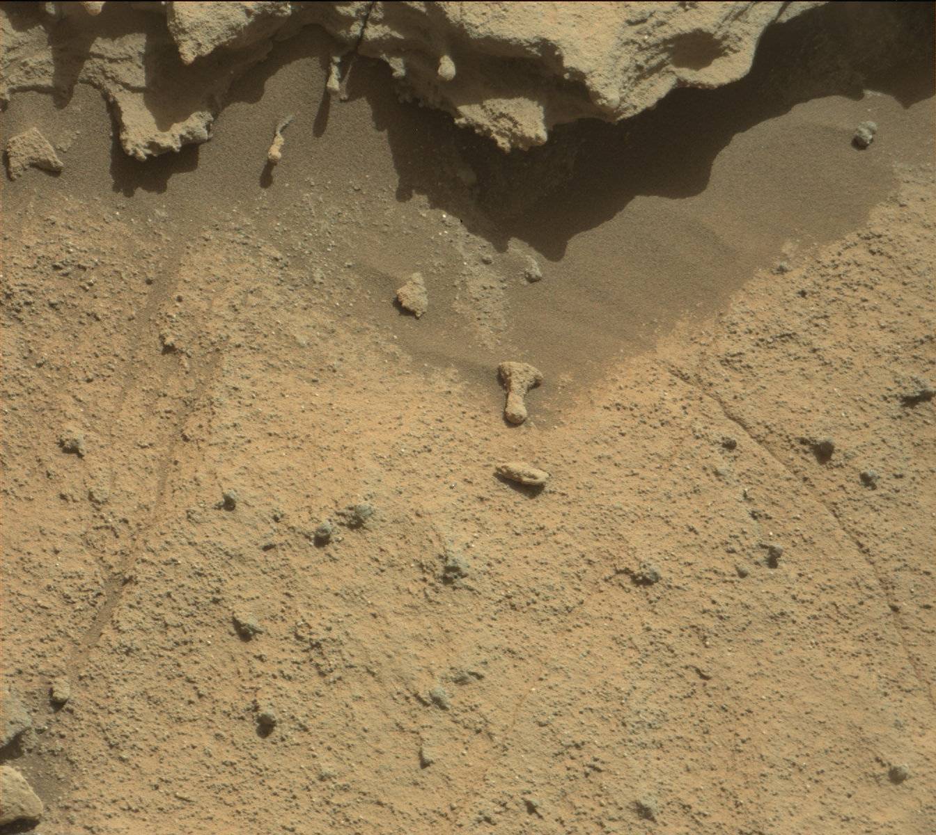 Nasa's Mars rover Curiosity acquired this image using its Mast Camera (Mastcam) on Sol 1115