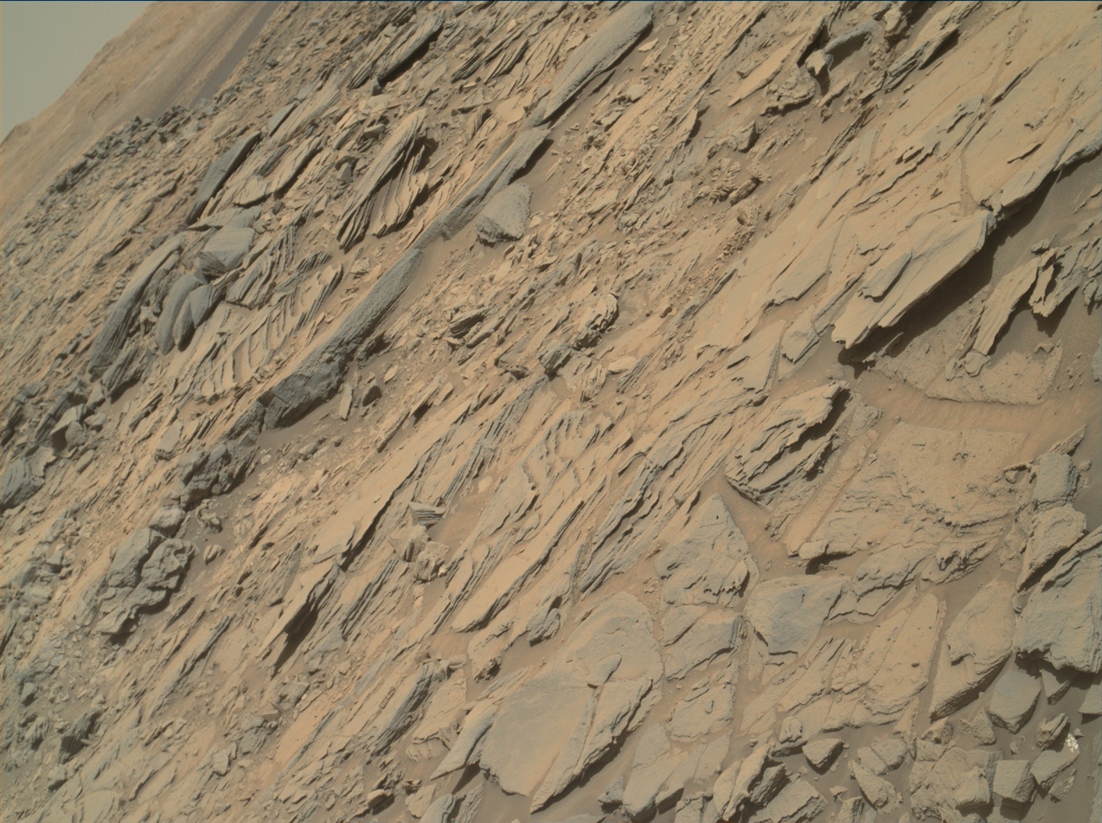 Nasa's Mars rover Curiosity acquired this image using its Mars Hand Lens Imager (MAHLI) on Sol 1126
