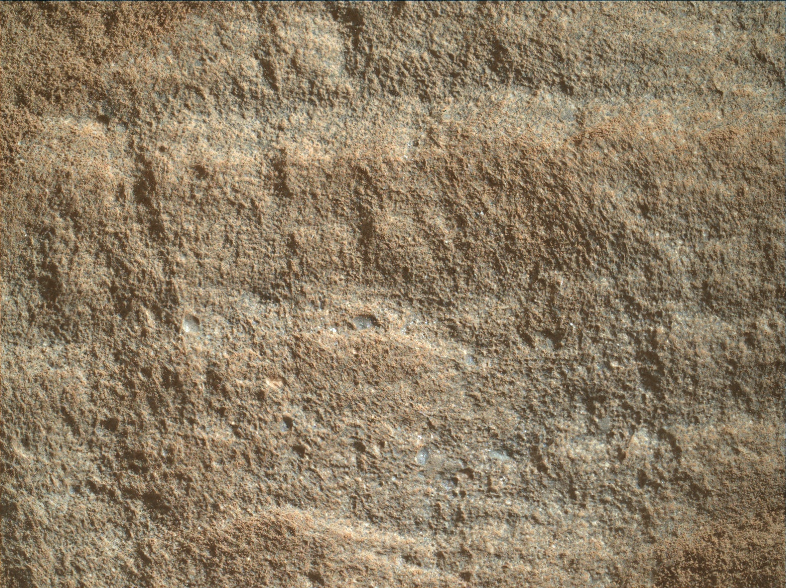 Nasa's Mars rover Curiosity acquired this image using its Mars Hand Lens Imager (MAHLI) on Sol 1131