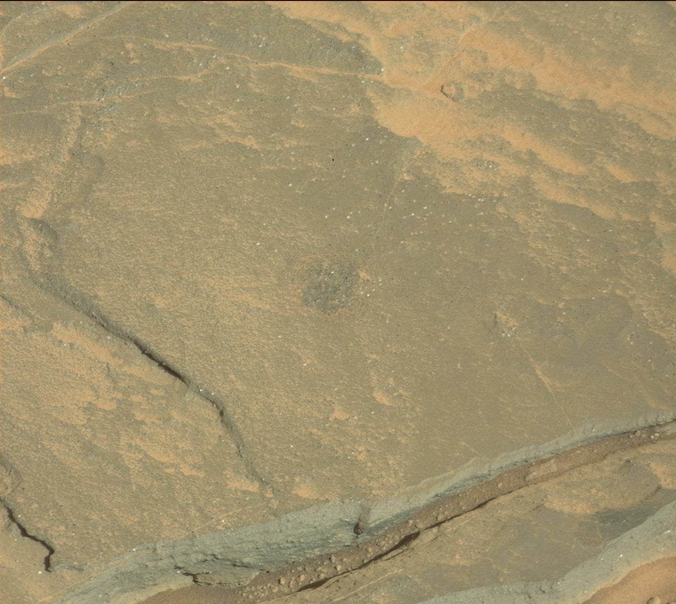 Nasa's Mars rover Curiosity acquired this image using its Mast Camera (Mastcam) on Sol 1151