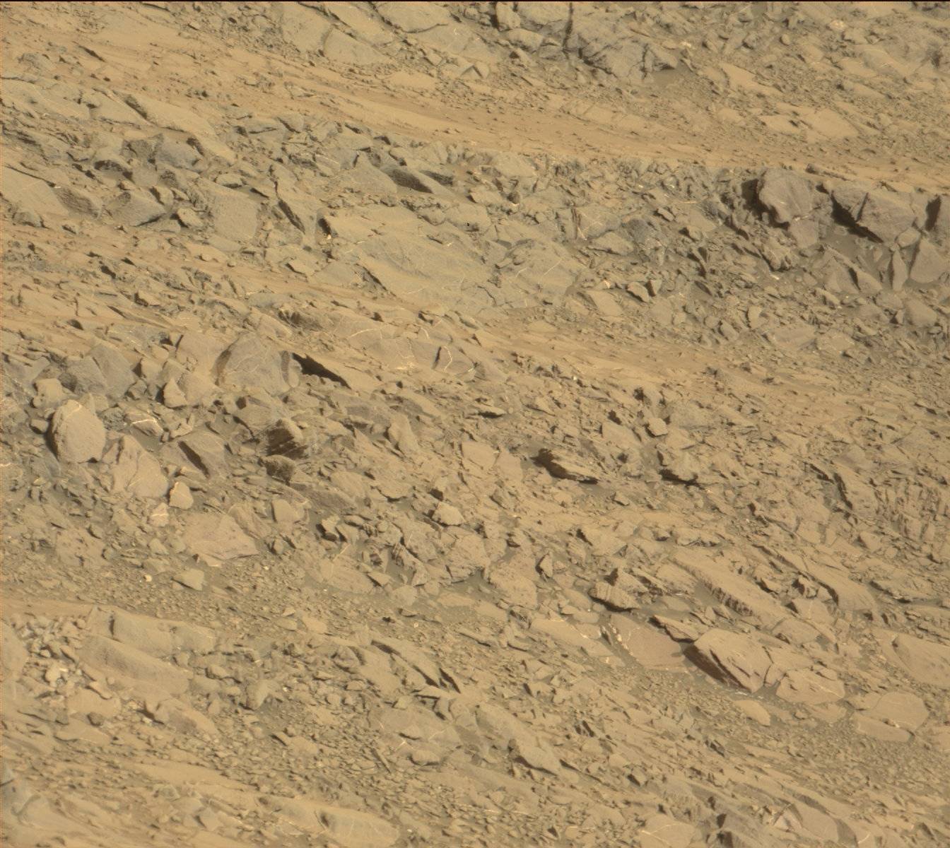 Nasa's Mars rover Curiosity acquired this image using its Mast Camera (Mastcam) on Sol 1160