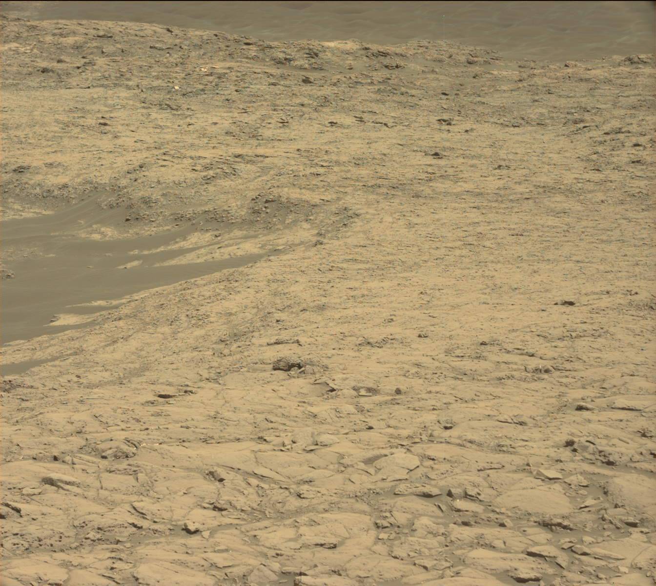 Nasa's Mars rover Curiosity acquired this image using its Mast Camera (Mastcam) on Sol 1172
