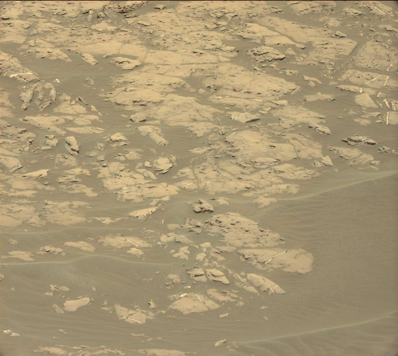 Nasa's Mars rover Curiosity acquired this image using its Mast Camera (Mastcam) on Sol 1174