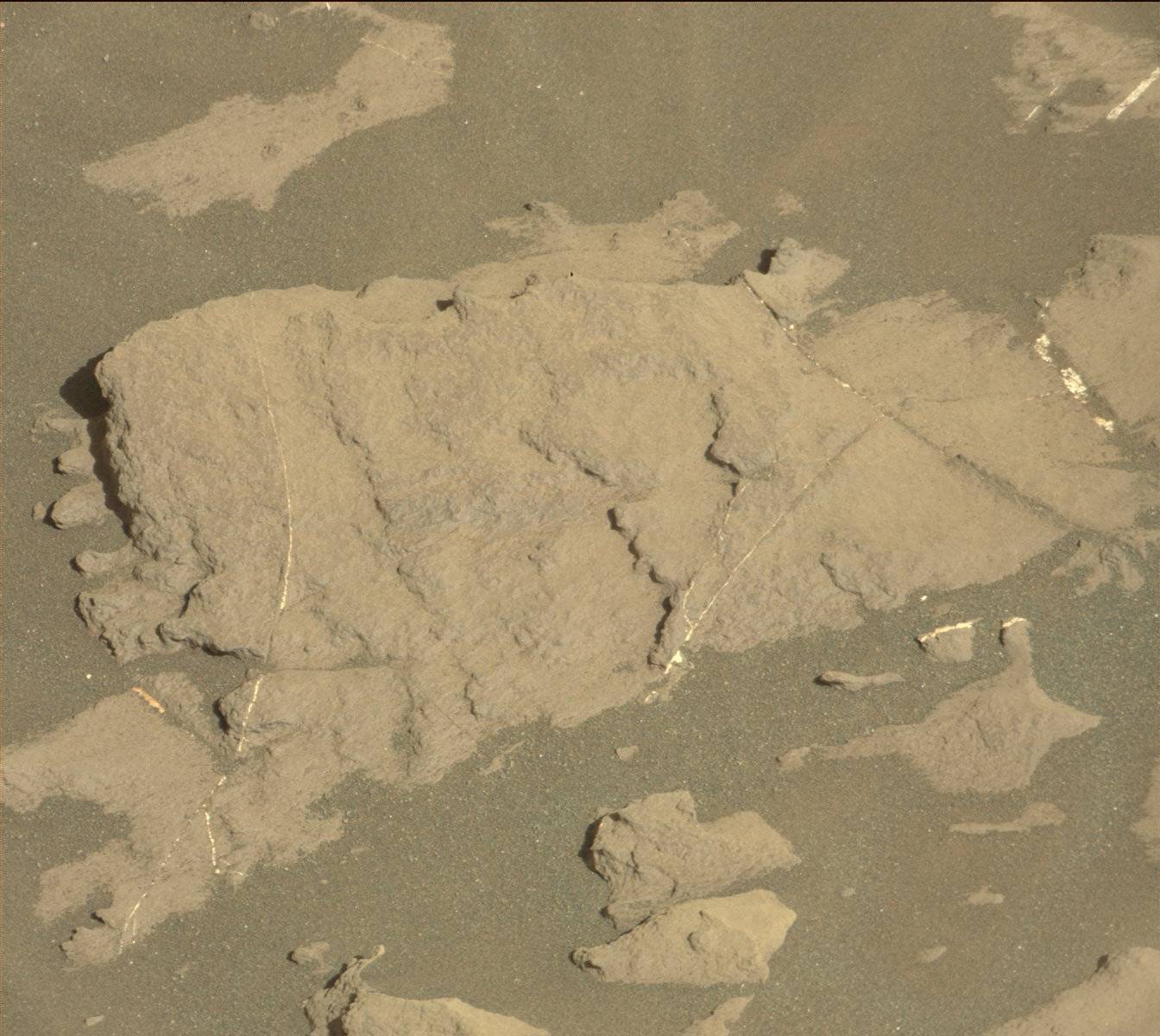 Nasa's Mars rover Curiosity acquired this image using its Mast Camera (Mastcam) on Sol 1177