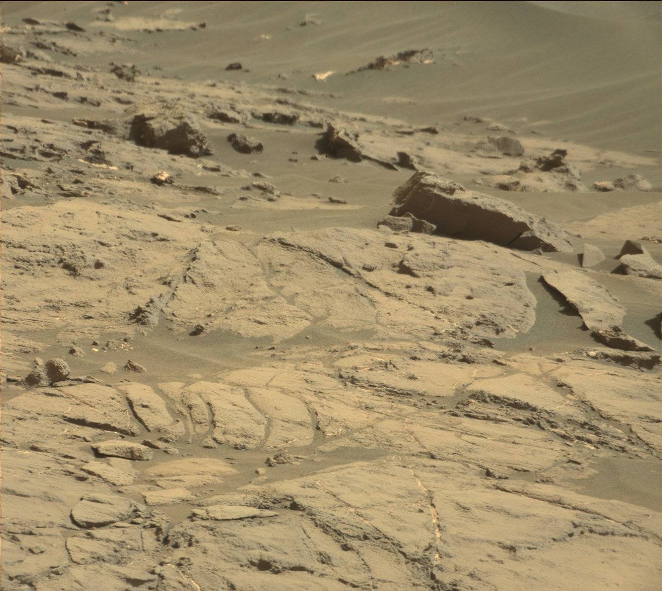 Nasa's Mars rover Curiosity acquired this image using its Mast Camera (Mastcam) on Sol 1182