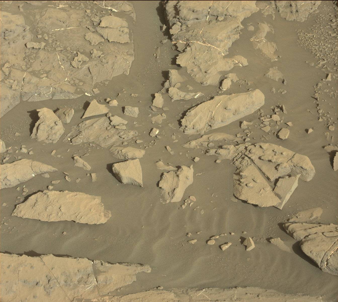 Nasa's Mars rover Curiosity acquired this image using its Mast Camera (Mastcam) on Sol 1185