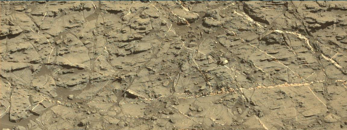Nasa's Mars rover Curiosity acquired this image using its Mast Camera (Mastcam) on Sol 1189