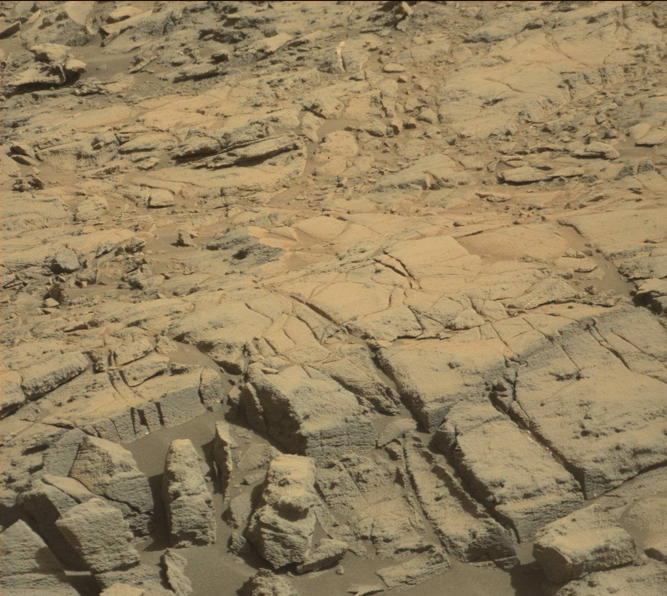 Nasa's Mars rover Curiosity acquired this image using its Mast Camera (Mastcam) on Sol 1189