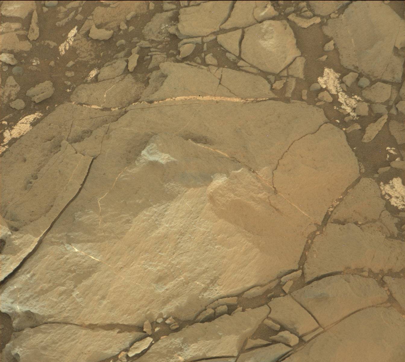 Nasa's Mars rover Curiosity acquired this image using its Mast Camera (Mastcam) on Sol 1191