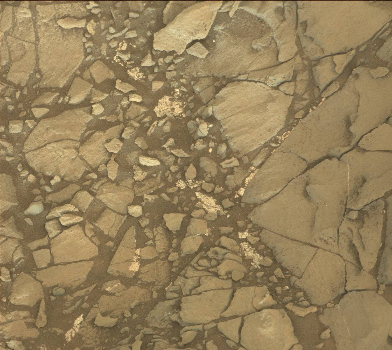 Nasa's Mars rover Curiosity acquired this image using its Mast Camera (Mastcam) on Sol 1191