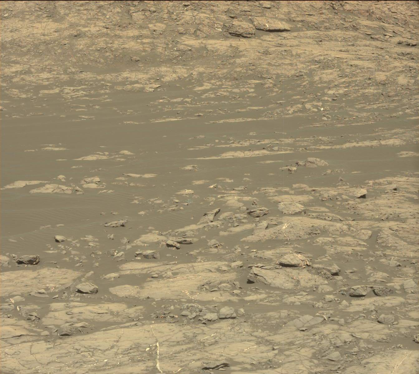 Nasa's Mars rover Curiosity acquired this image using its Mast Camera (Mastcam) on Sol 1192