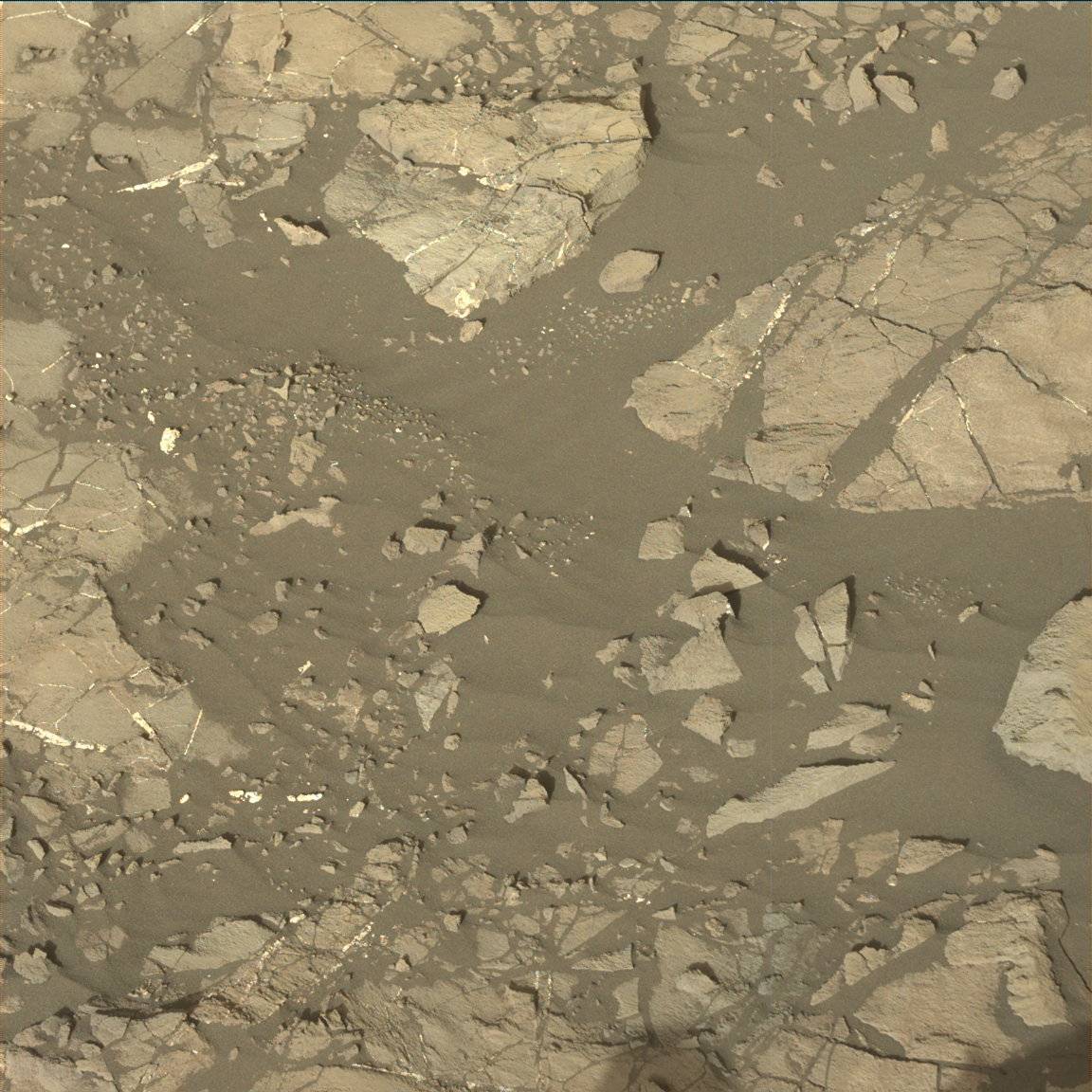 Nasa's Mars rover Curiosity acquired this image using its Mast Camera (Mastcam) on Sol 1194