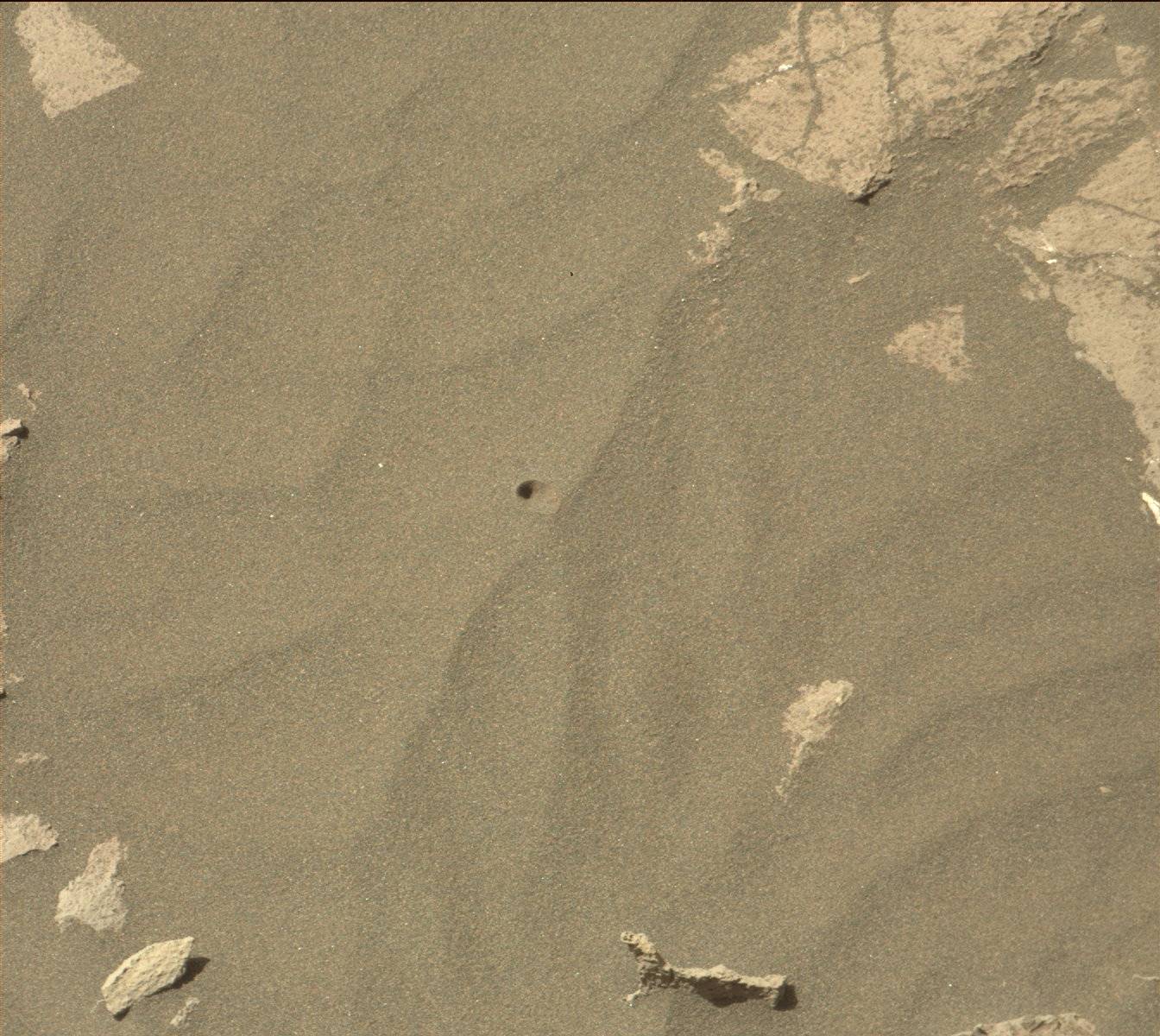 Nasa's Mars rover Curiosity acquired this image using its Mast Camera (Mastcam) on Sol 1196