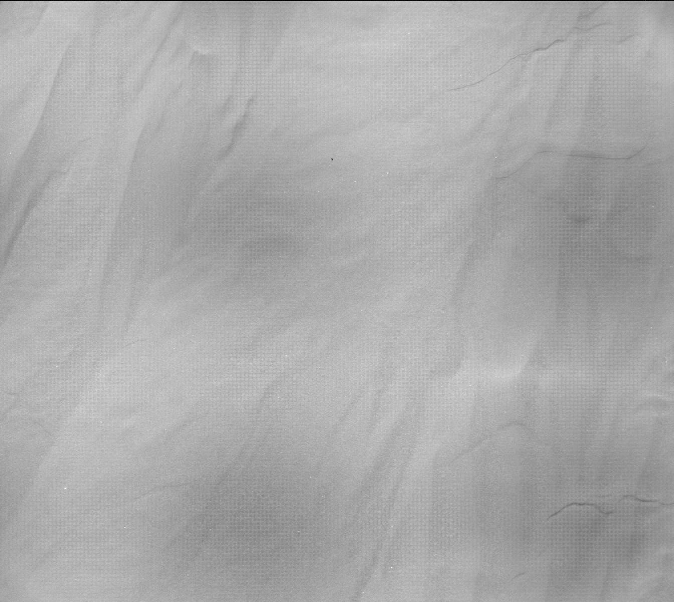 Nasa's Mars rover Curiosity acquired this image using its Mast Camera (Mastcam) on Sol 1198