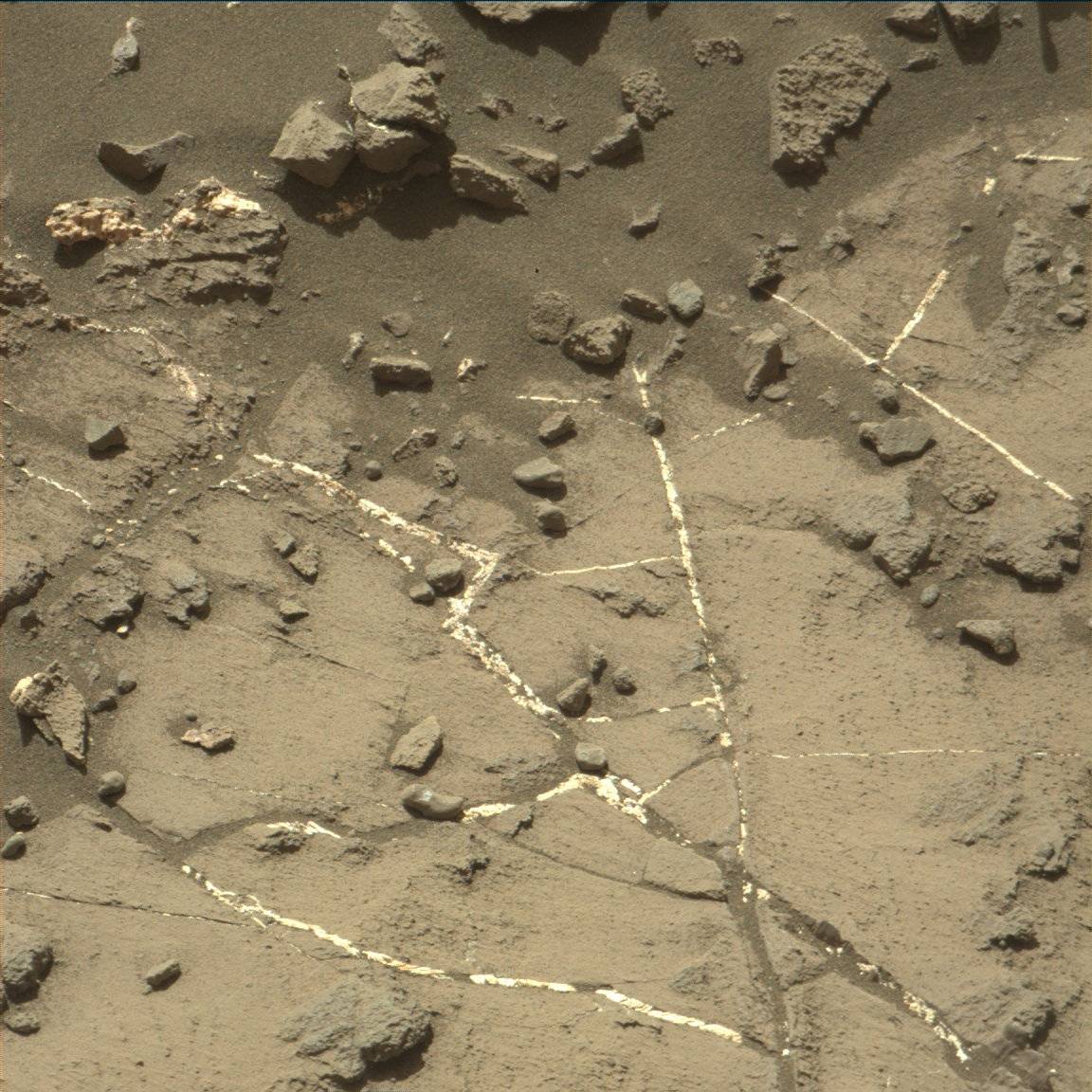 Nasa's Mars rover Curiosity acquired this image using its Mast Camera (Mastcam) on Sol 1198