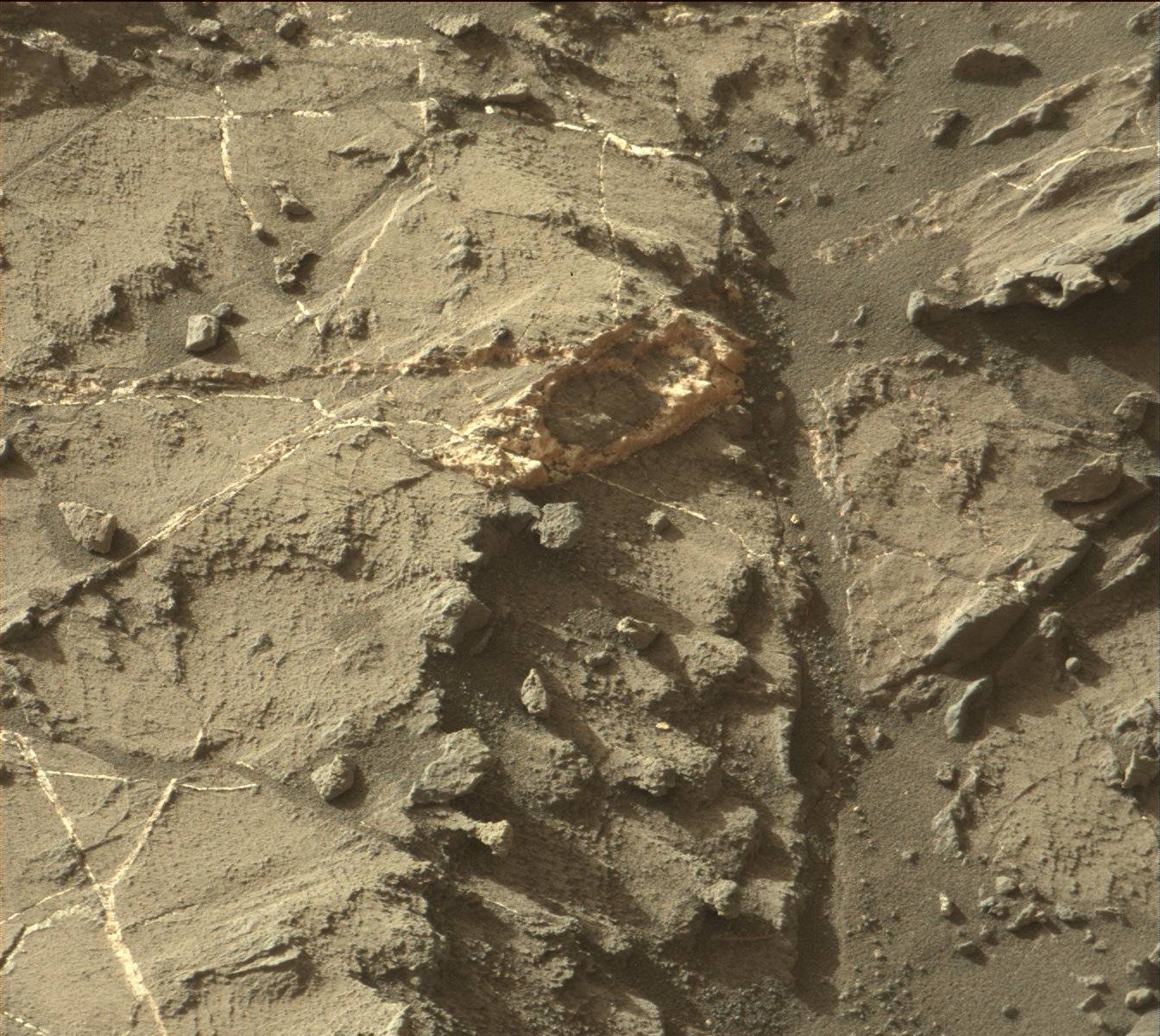 Nasa's Mars rover Curiosity acquired this image using its Mast Camera (Mastcam) on Sol 1203
