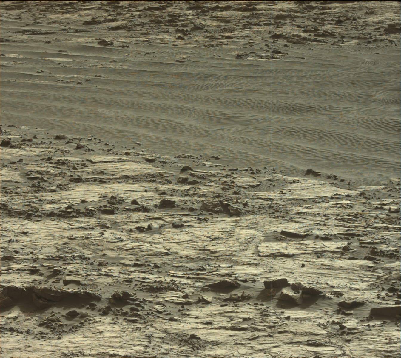 Nasa's Mars rover Curiosity acquired this image using its Mast Camera (Mastcam) on Sol 1204