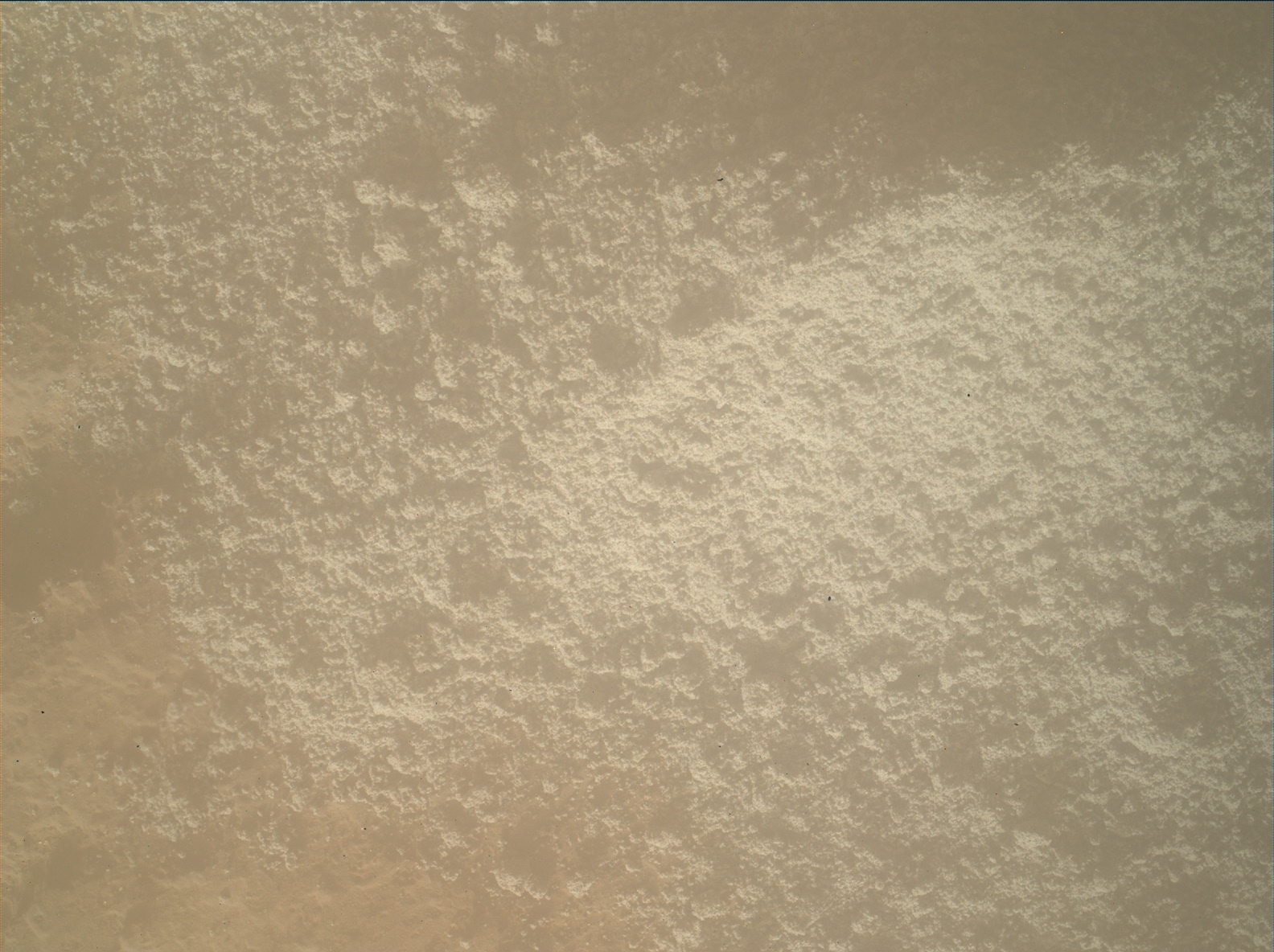 Nasa's Mars rover Curiosity acquired this image using its Mars Hand Lens Imager (MAHLI) on Sol 1204