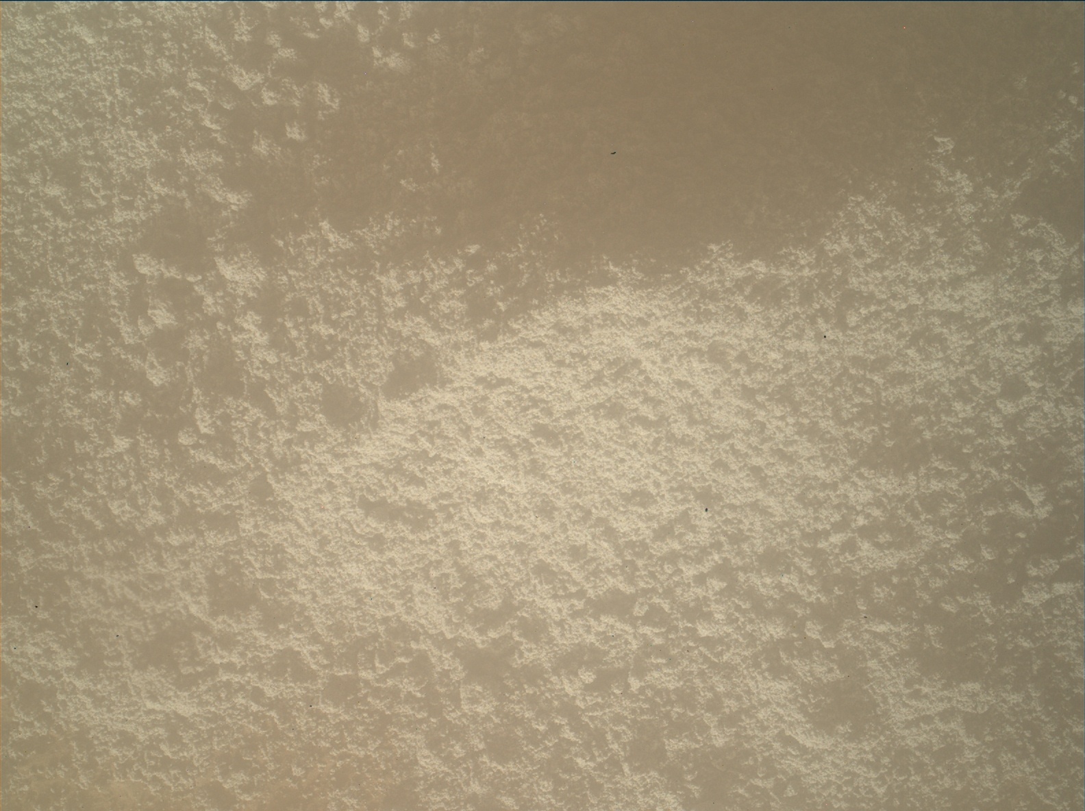 Nasa's Mars rover Curiosity acquired this image using its Mars Hand Lens Imager (MAHLI) on Sol 1204