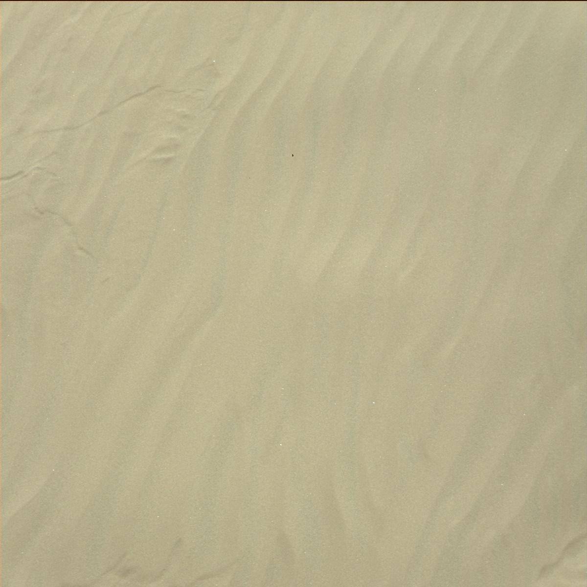 Nasa's Mars rover Curiosity acquired this image using its Mast Camera (Mastcam) on Sol 1206