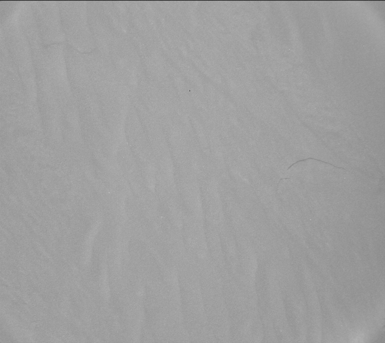 Nasa's Mars rover Curiosity acquired this image using its Mast Camera (Mastcam) on Sol 1214