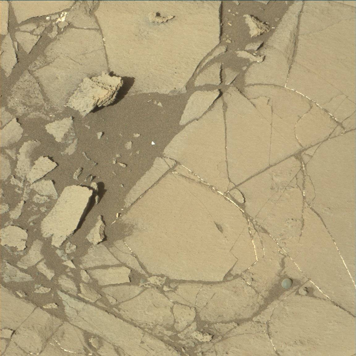 Nasa's Mars rover Curiosity acquired this image using its Mast Camera (Mastcam) on Sol 1215