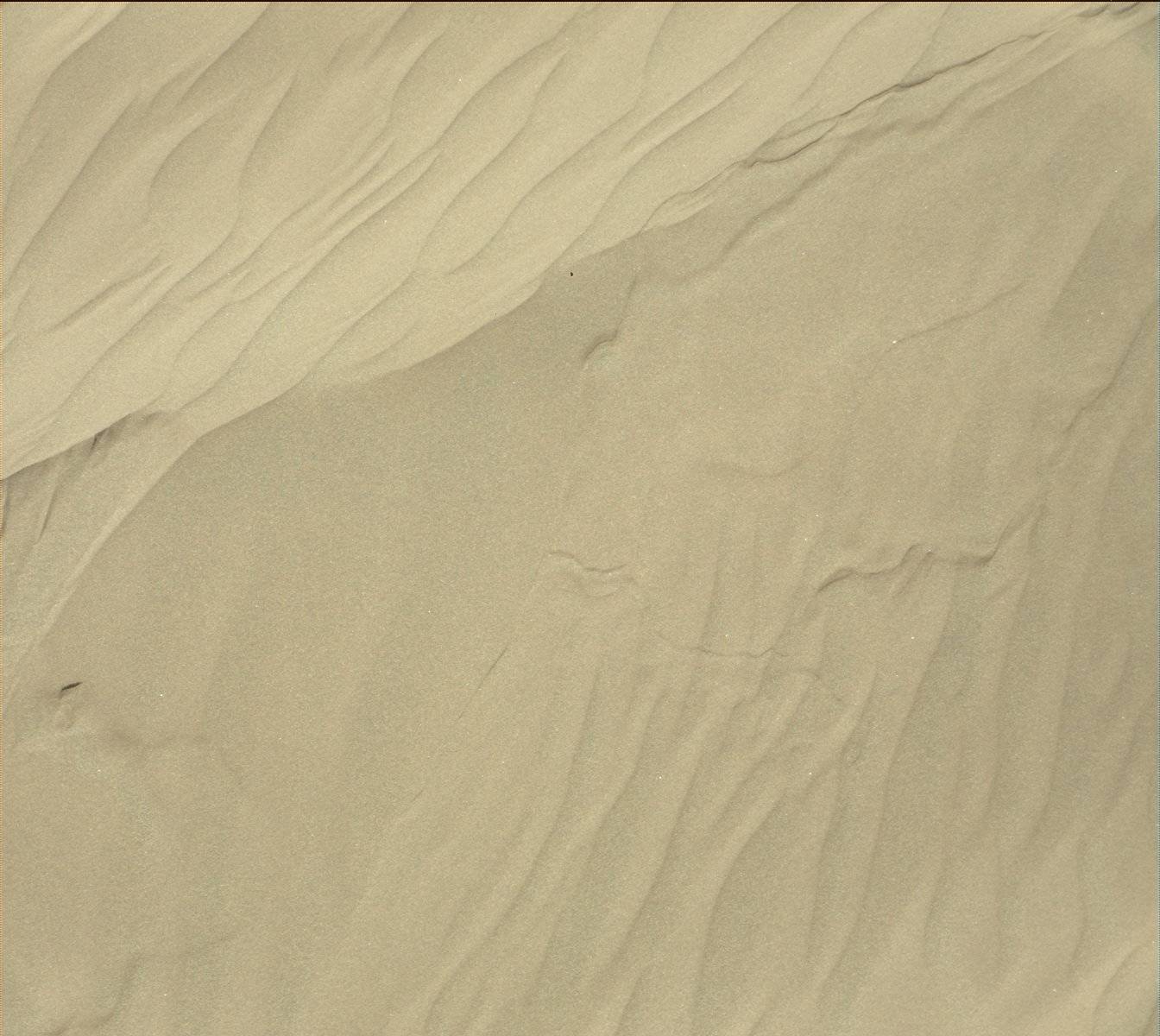 Nasa's Mars rover Curiosity acquired this image using its Mast Camera (Mastcam) on Sol 1216