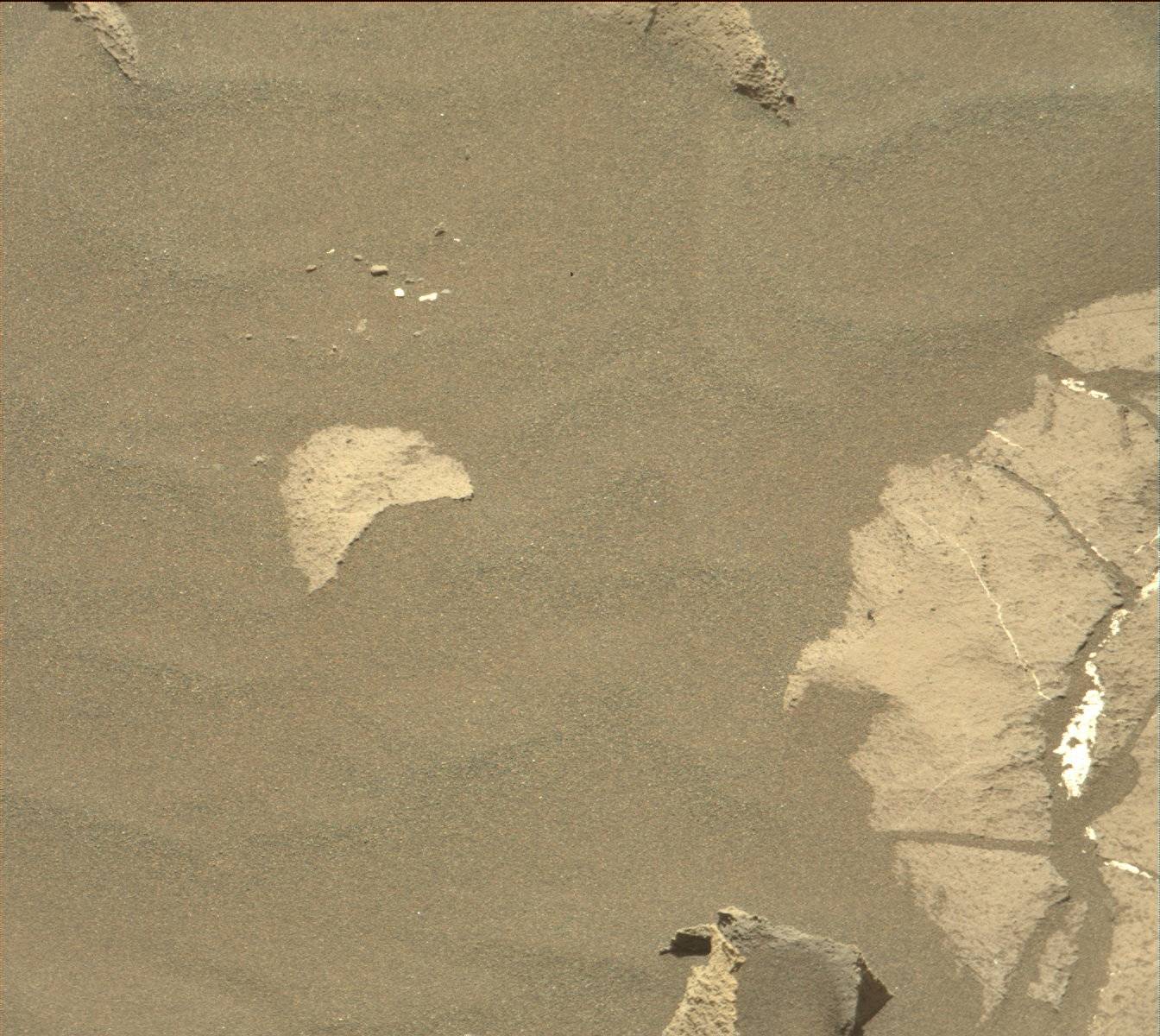 Nasa's Mars rover Curiosity acquired this image using its Mast Camera (Mastcam) on Sol 1217