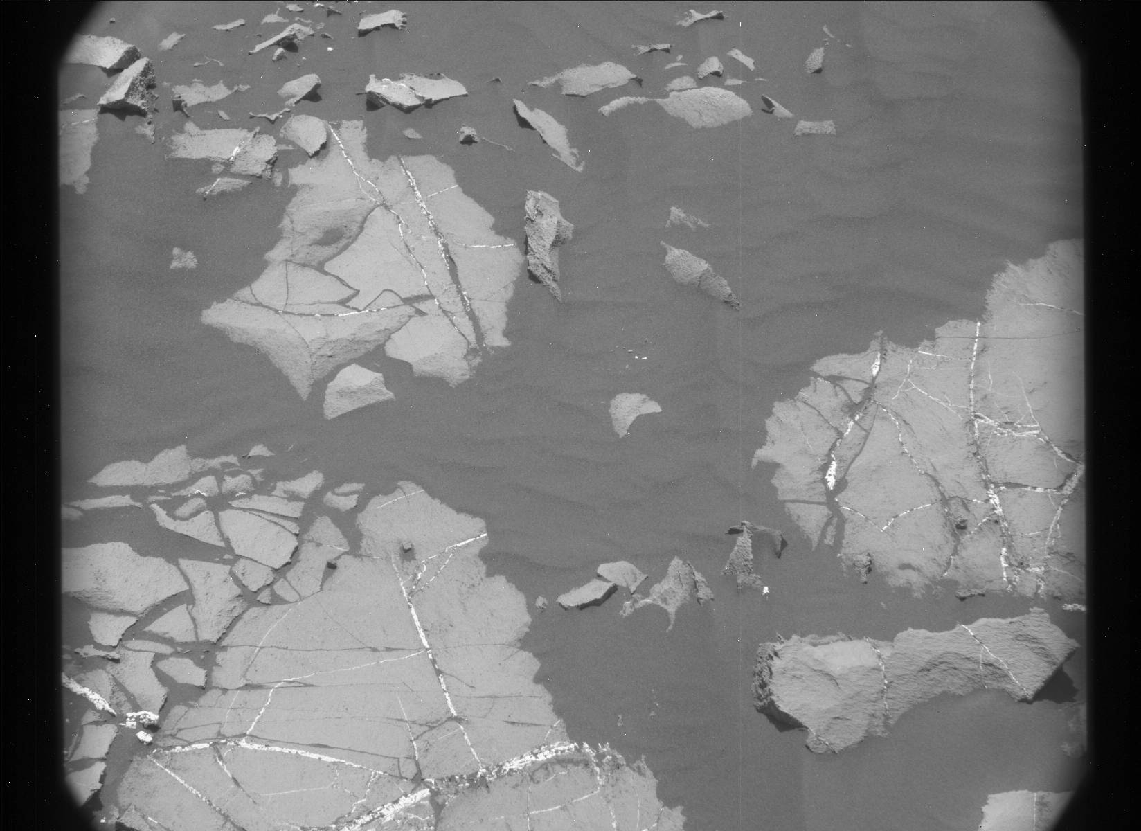 Nasa's Mars rover Curiosity acquired this image using its Mast Camera (Mastcam) on Sol 1219