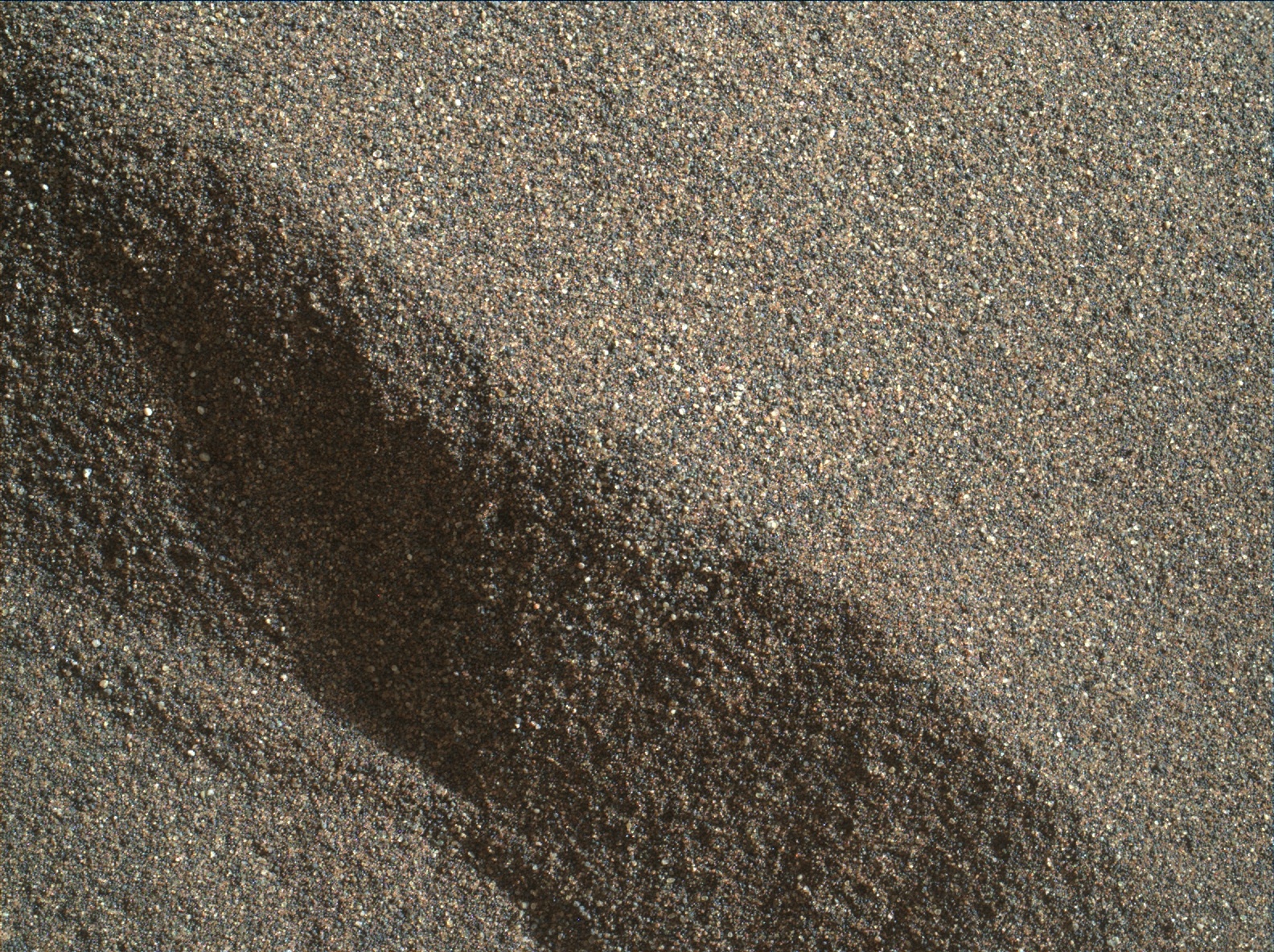 Nasa's Mars rover Curiosity acquired this image using its Mars Hand Lens Imager (MAHLI) on Sol 1224
