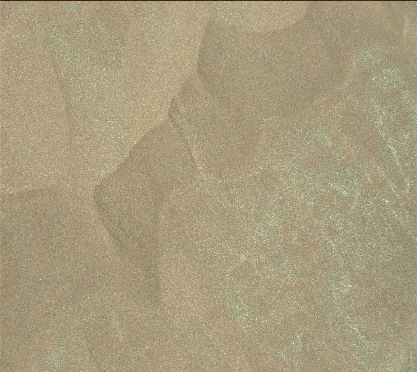 Nasa's Mars rover Curiosity acquired this image using its Mast Camera (Mastcam) on Sol 1225