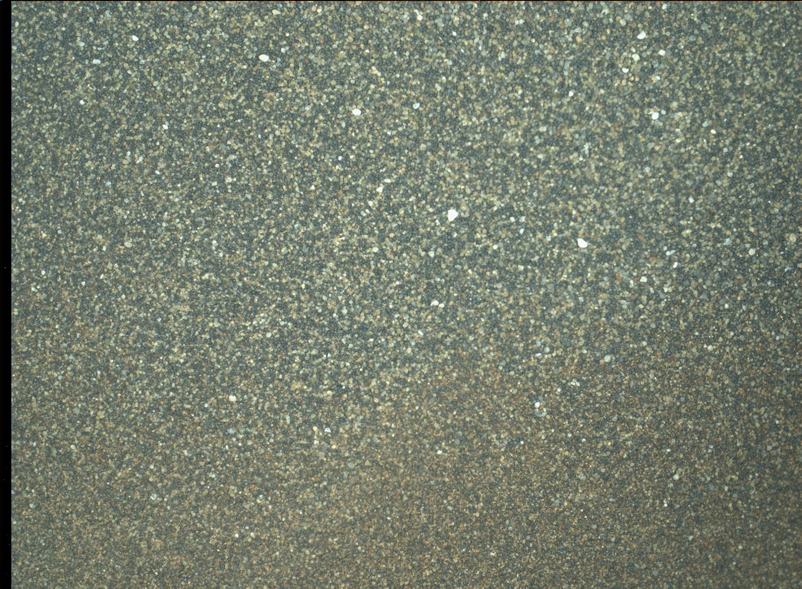 Nasa's Mars rover Curiosity acquired this image using its Mars Hand Lens Imager (MAHLI) on Sol 1230