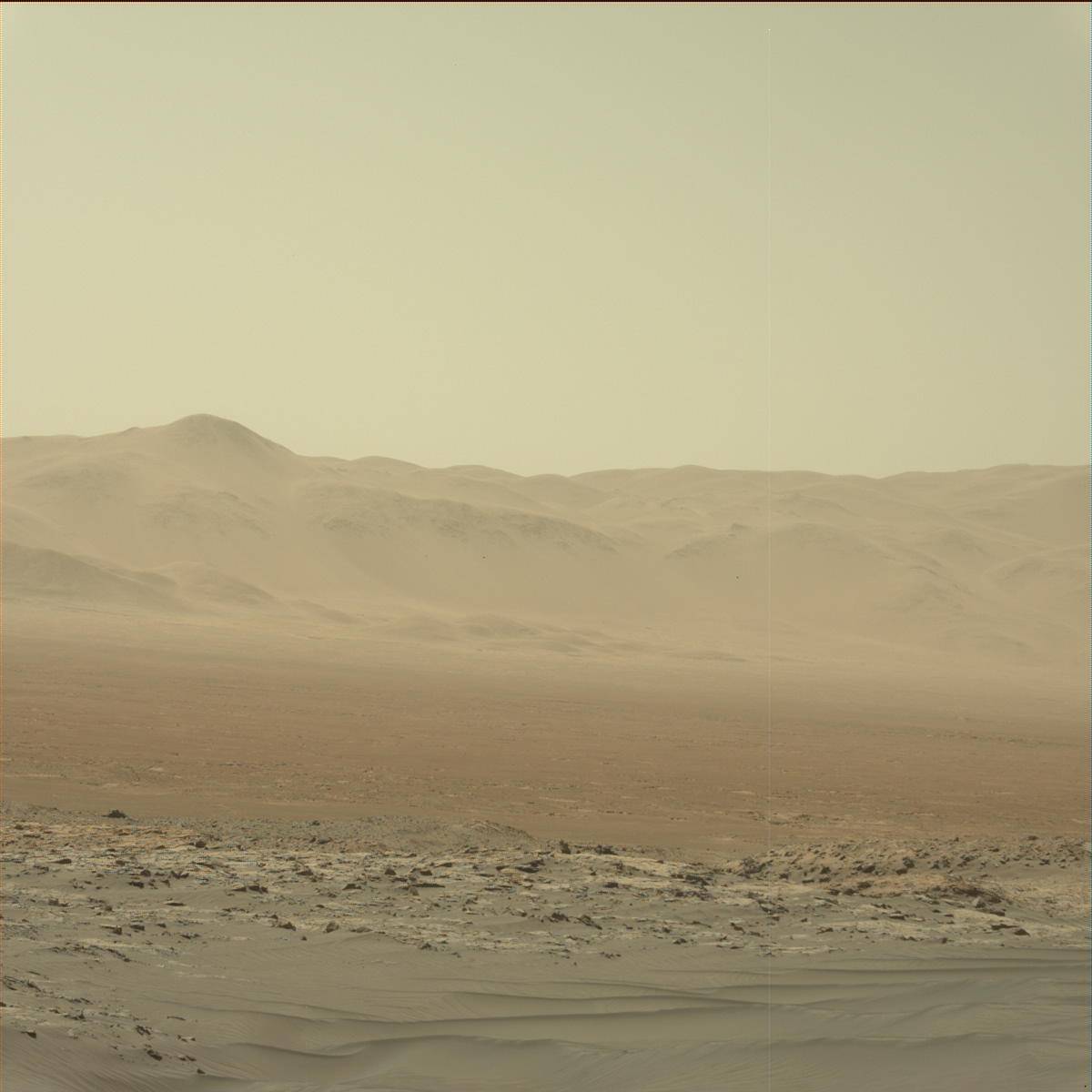 Nasa's Mars rover Curiosity acquired this image using its Mast Camera (Mastcam) on Sol 1234