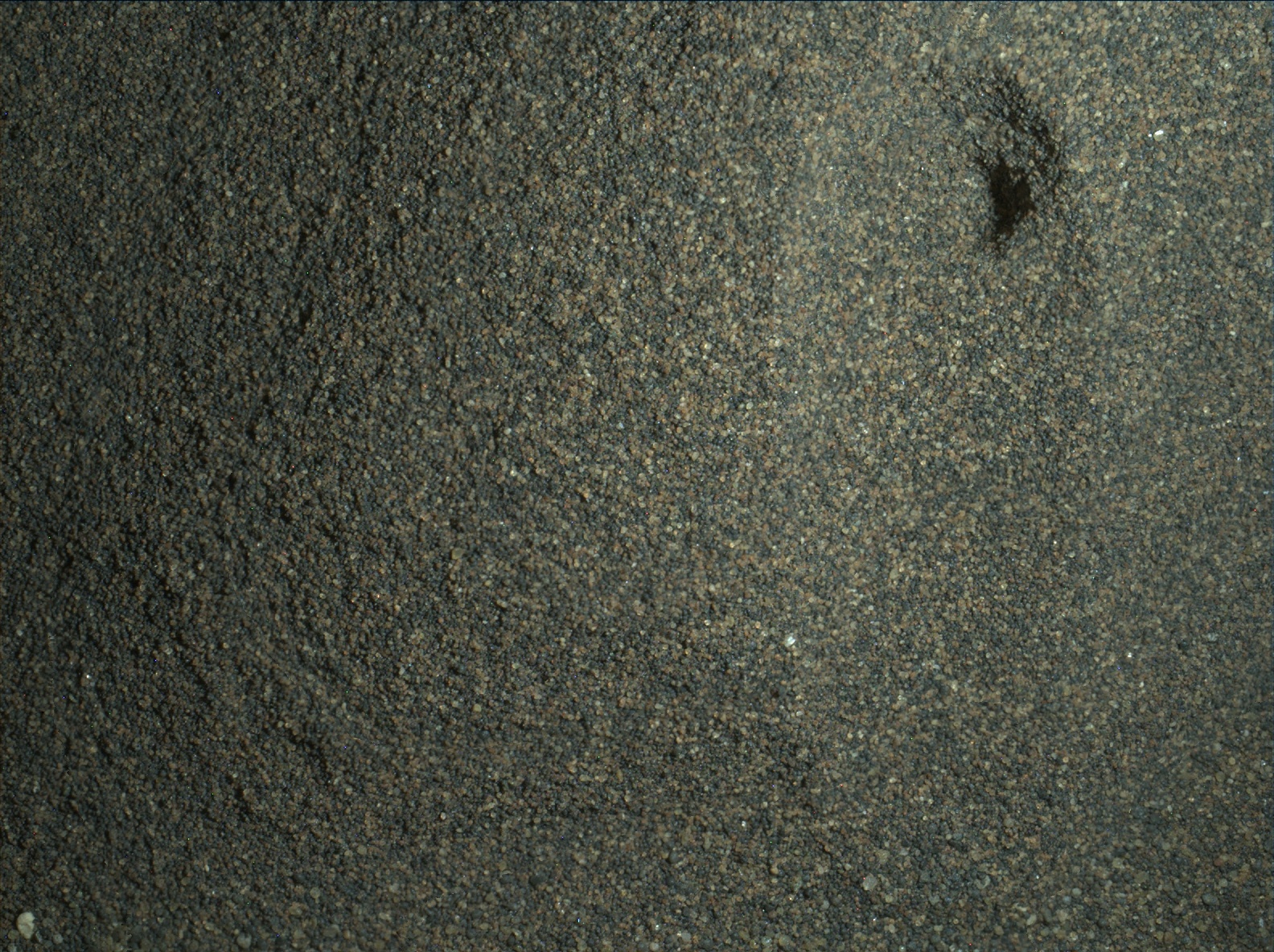 Nasa's Mars rover Curiosity acquired this image using its Mars Hand Lens Imager (MAHLI) on Sol 1234