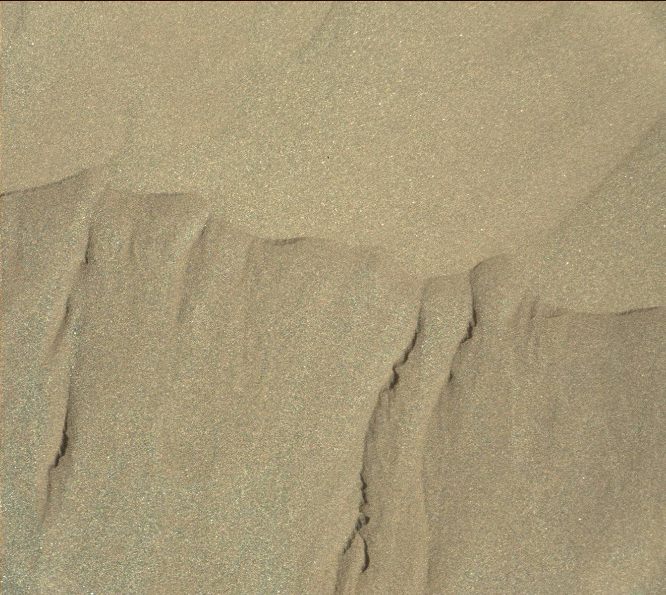 Nasa's Mars rover Curiosity acquired this image using its Mast Camera (Mastcam) on Sol 1239