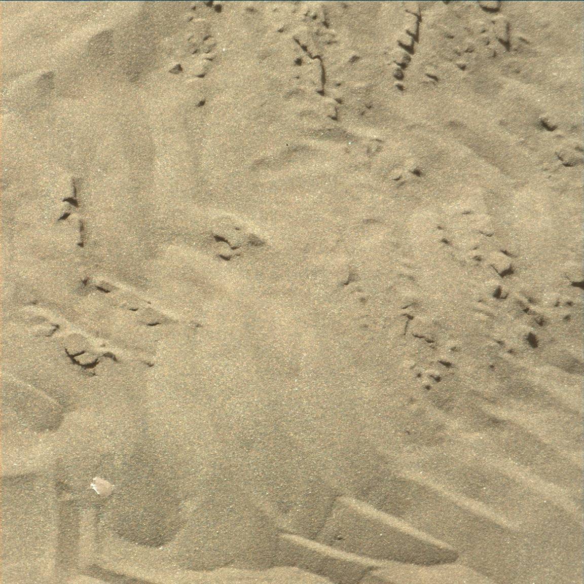 Nasa's Mars rover Curiosity acquired this image using its Mast Camera (Mastcam) on Sol 1243