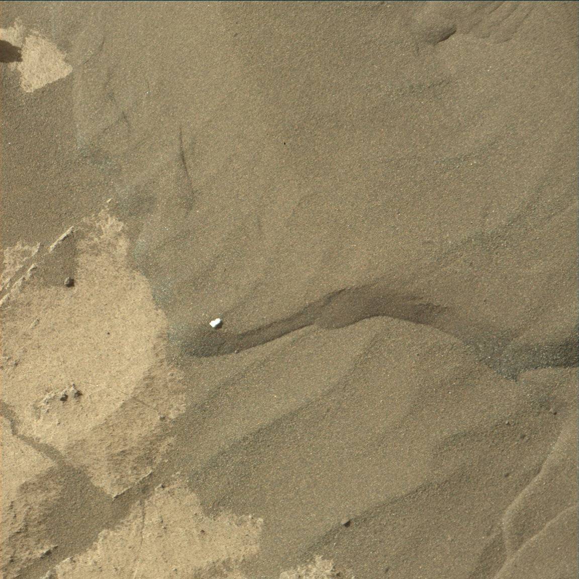Nasa's Mars rover Curiosity acquired this image using its Mast Camera (Mastcam) on Sol 1244