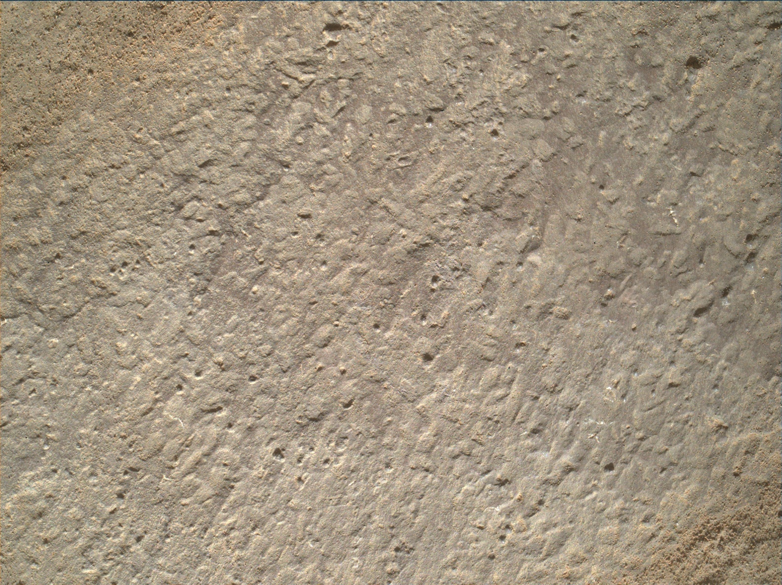 Nasa's Mars rover Curiosity acquired this image using its Mars Hand Lens Imager (MAHLI) on Sol 1246