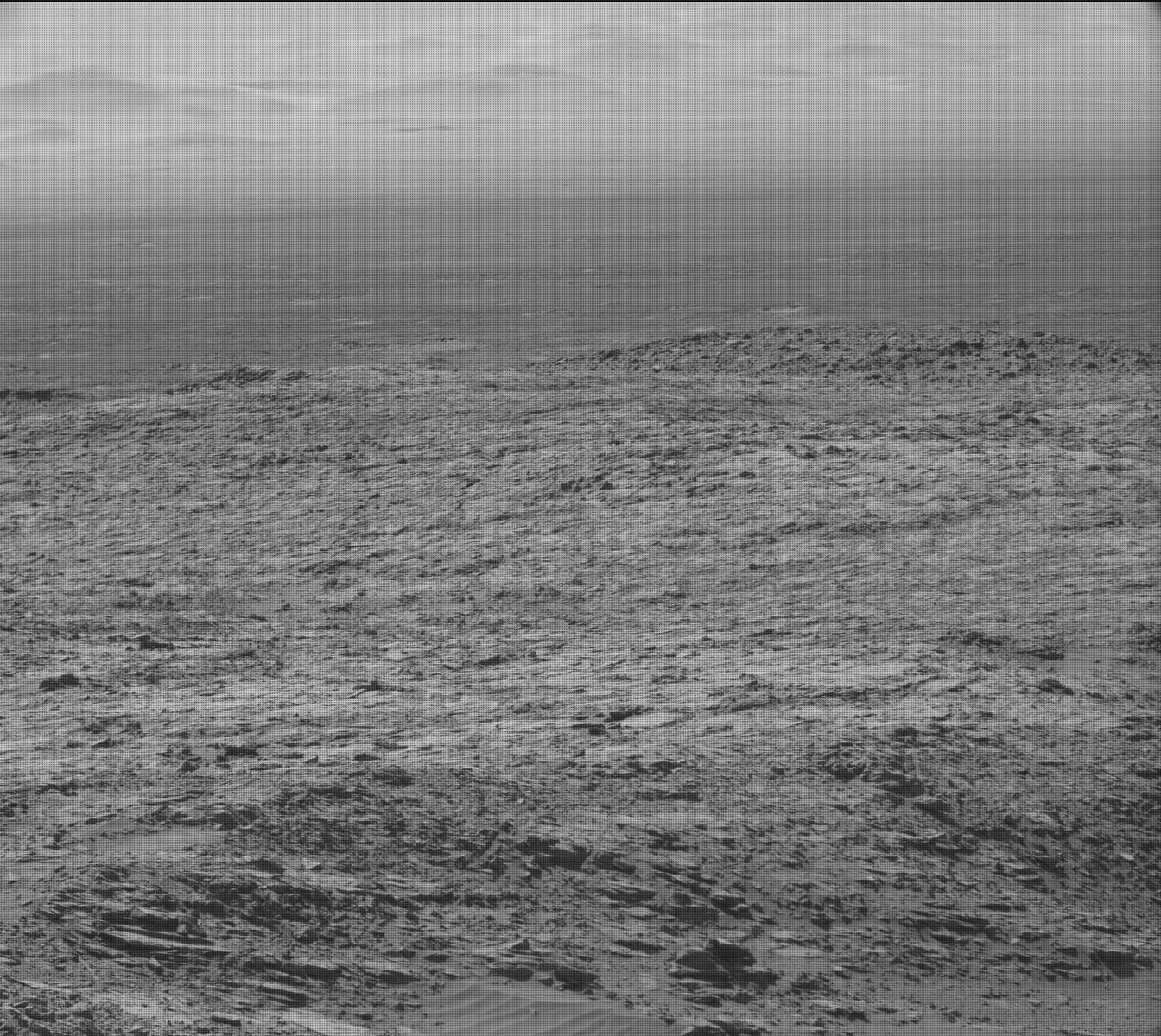 Nasa's Mars rover Curiosity acquired this image using its Mast Camera (Mastcam) on Sol 1248