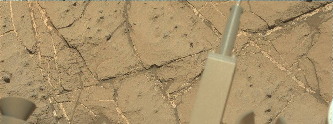Nasa's Mars rover Curiosity acquired this image using its Mast Camera (Mastcam) on Sol 1250