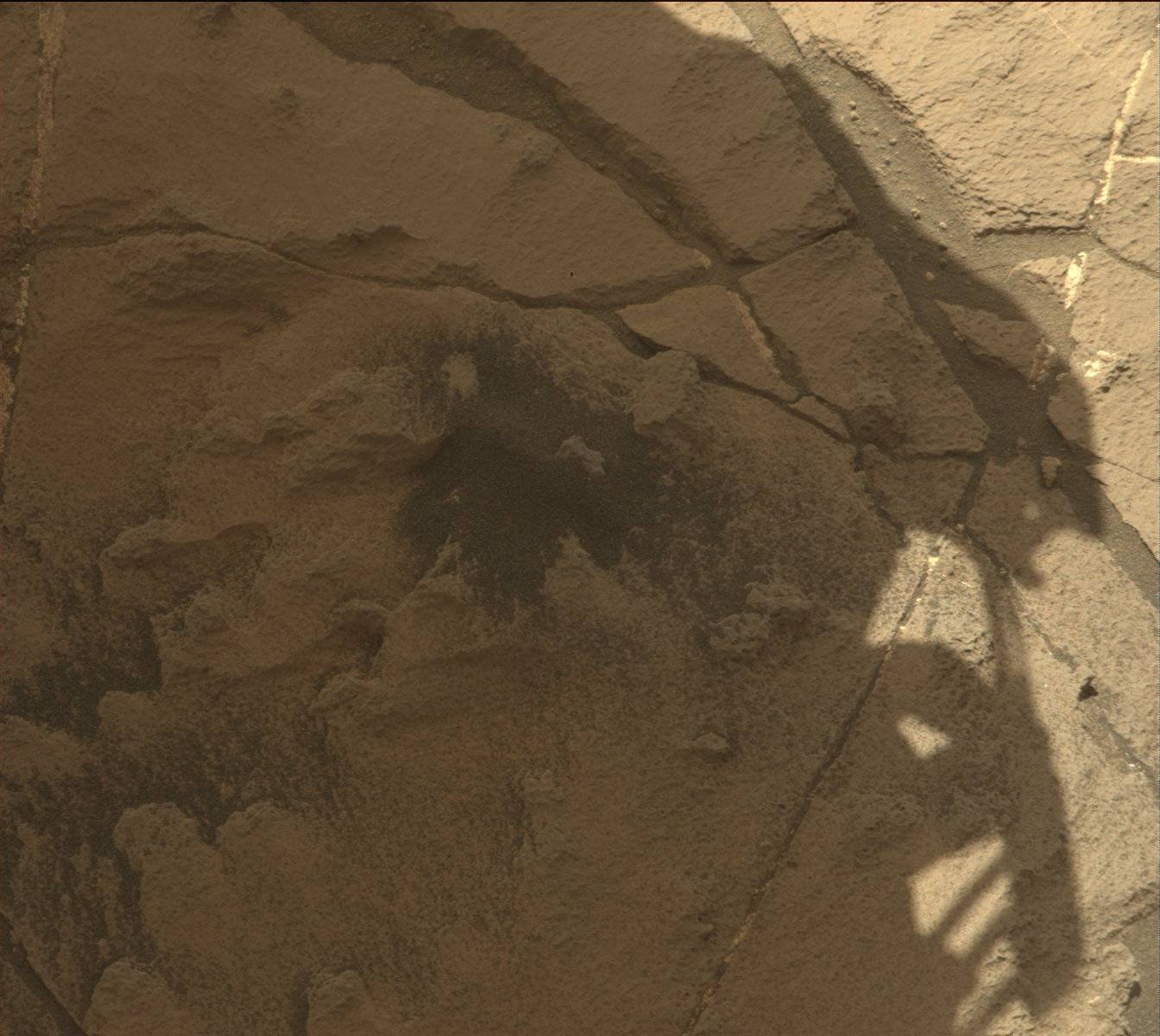 Nasa's Mars rover Curiosity acquired this image using its Mast Camera (Mastcam) on Sol 1251