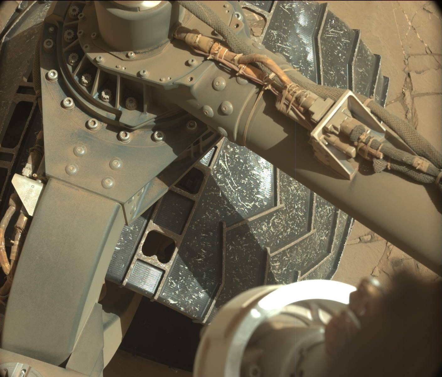 Nasa's Mars rover Curiosity acquired this image using its Mast Camera (Mastcam) on Sol 1260