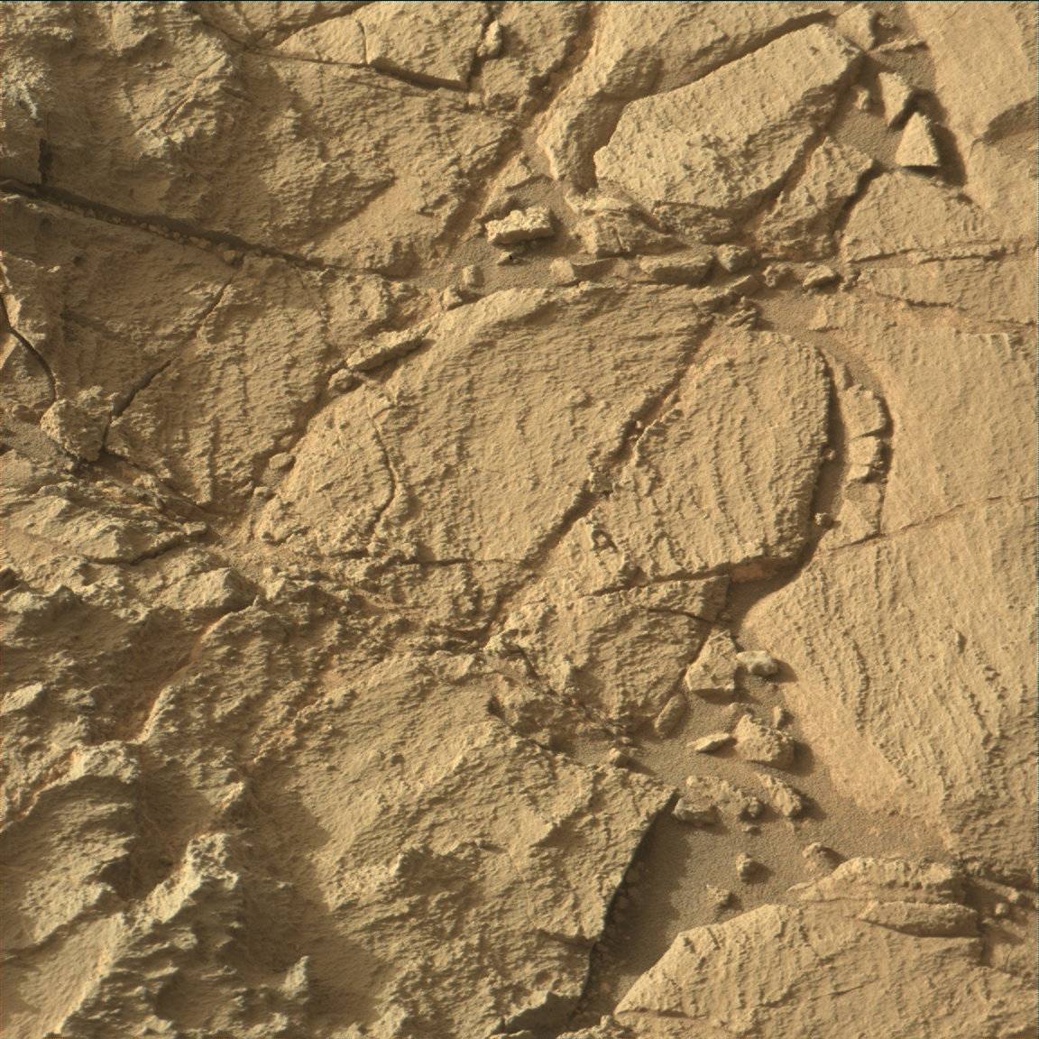 Nasa's Mars rover Curiosity acquired this image using its Mast Camera (Mastcam) on Sol 1260